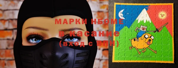 шишки Заволжье