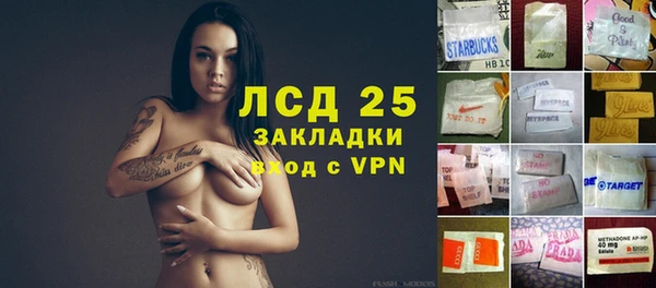 PSILOCYBIN Елизово