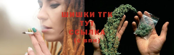 шишки Заволжье