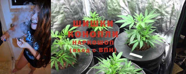 PSILOCYBIN Елизово