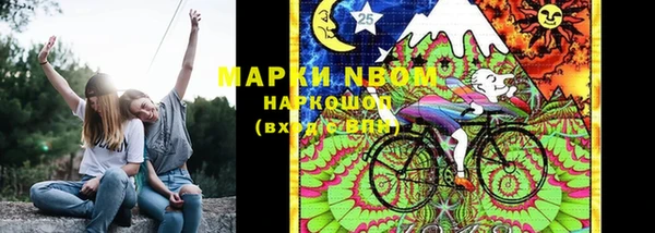 шишки Заволжье
