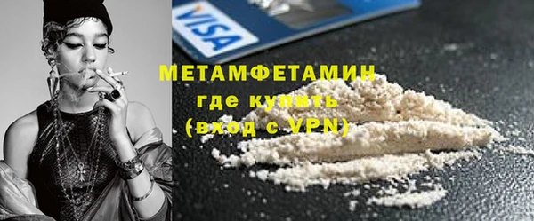 шишки Заволжье