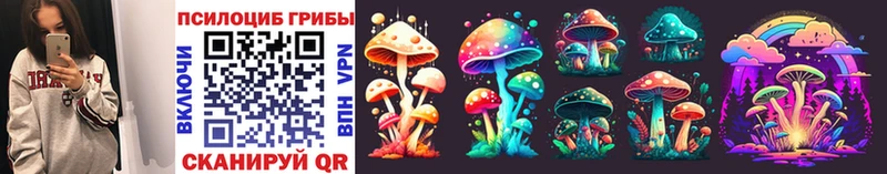 Псилоцибиновые грибы Psilocybine cubensis  Купить  Солнечногорск 